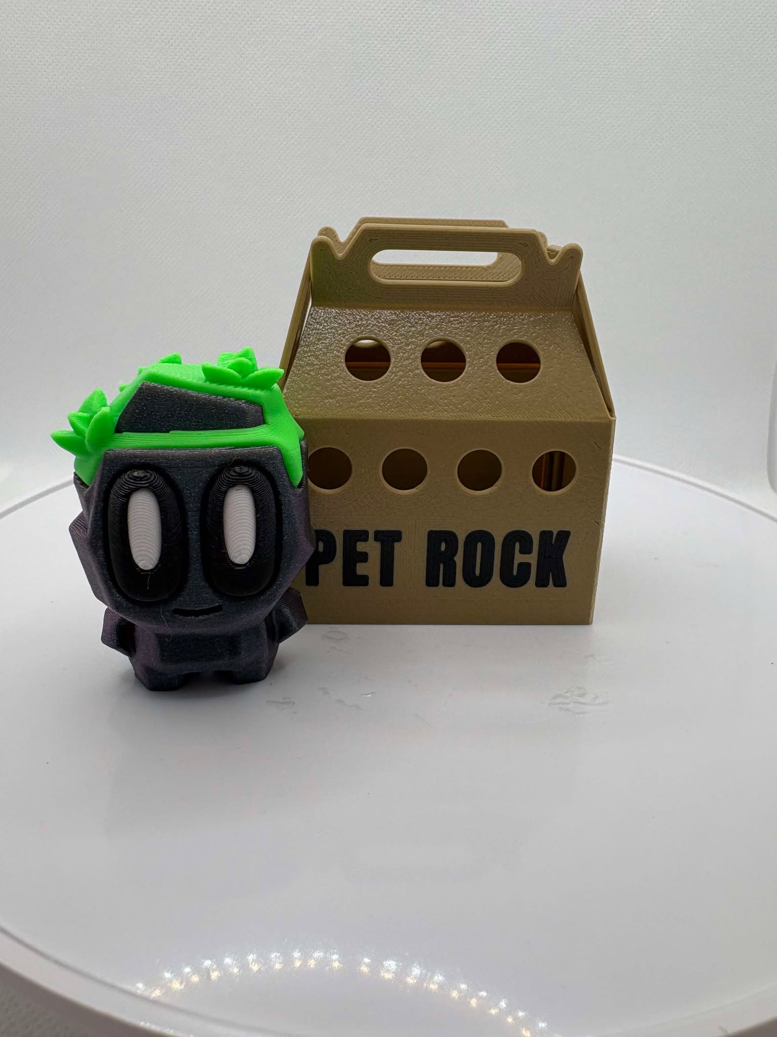 Mossy Pet Rock, Box of Rocks